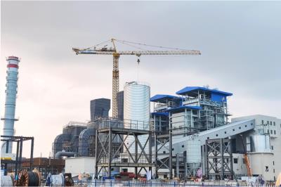 湖南魯麗生物質(zhì)項目